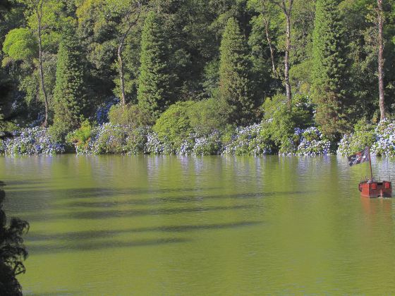 池杉湖國家濕地公園