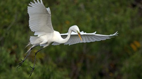 Longqi Wetland Park