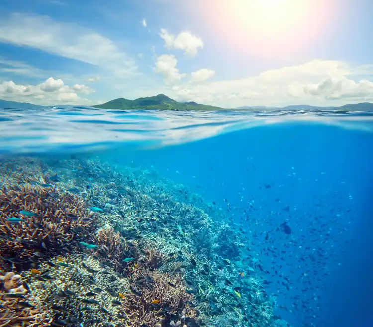 Bunaken
