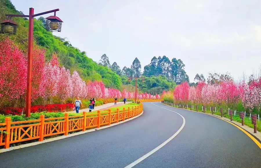 Lvxin Road