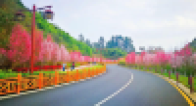 Lvxin Road Tickets [2025] Promos, Prices, Reviews Opening