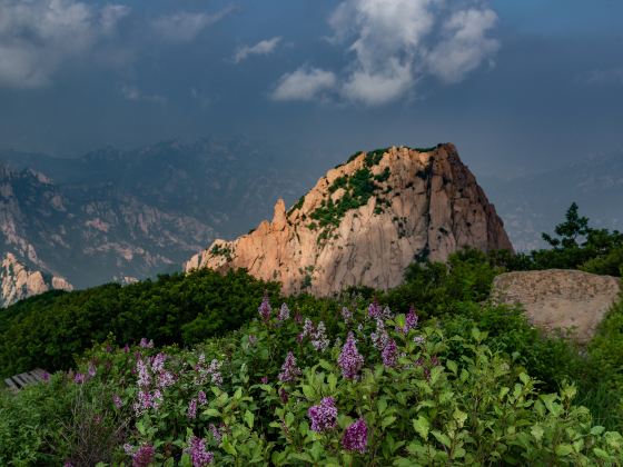 Xiangshan Scenic Area