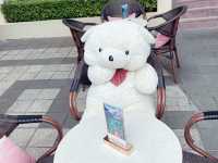 Share a gelato with a fluffy polar bear