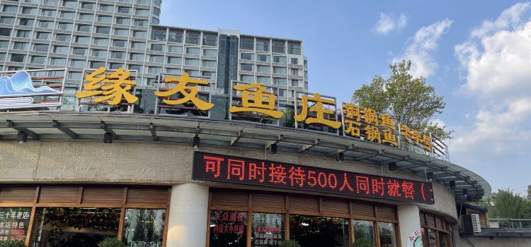 缘友鱼庄(老字号铜锅鱼)