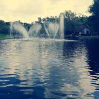 Gongqing Forest Park Shanghai Nature Bli