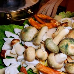 Lao Dian Shan Zhai User Photo