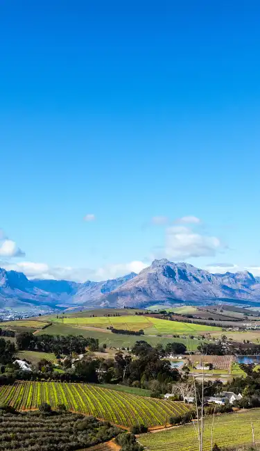 Hotéis com Wifi em Western Cape, South Africa