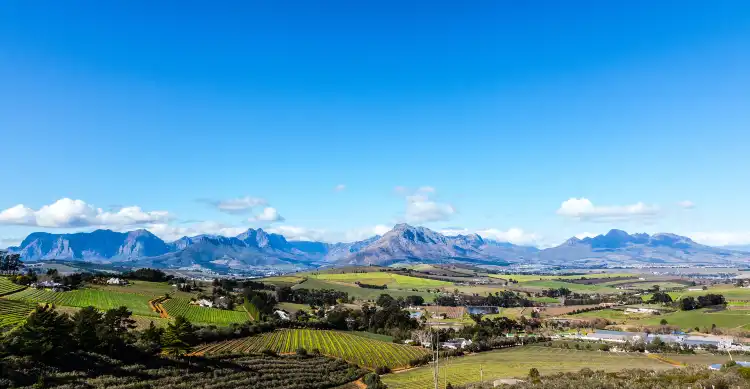 Homestay di Western Cape, Afrika Selatan