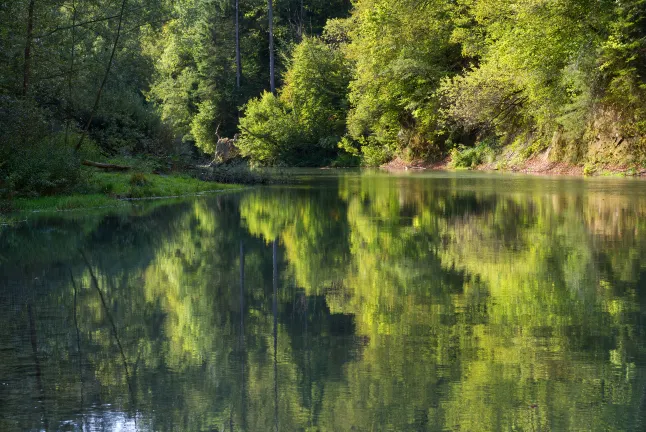 Отели с услугой Интернет в г. Фрибург