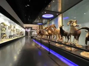 靜寧縣博物館