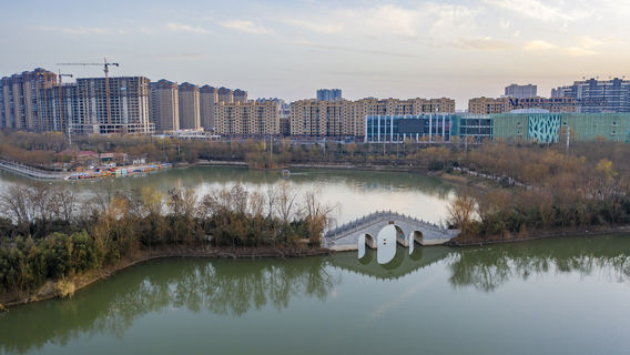 The Chinese Pagoda Tree Park
