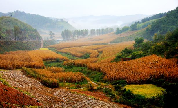 fushun-county