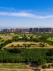 The Site of Front Hall, the Site of Weiyang Palace in Chang'an City of Western Han Dynasty