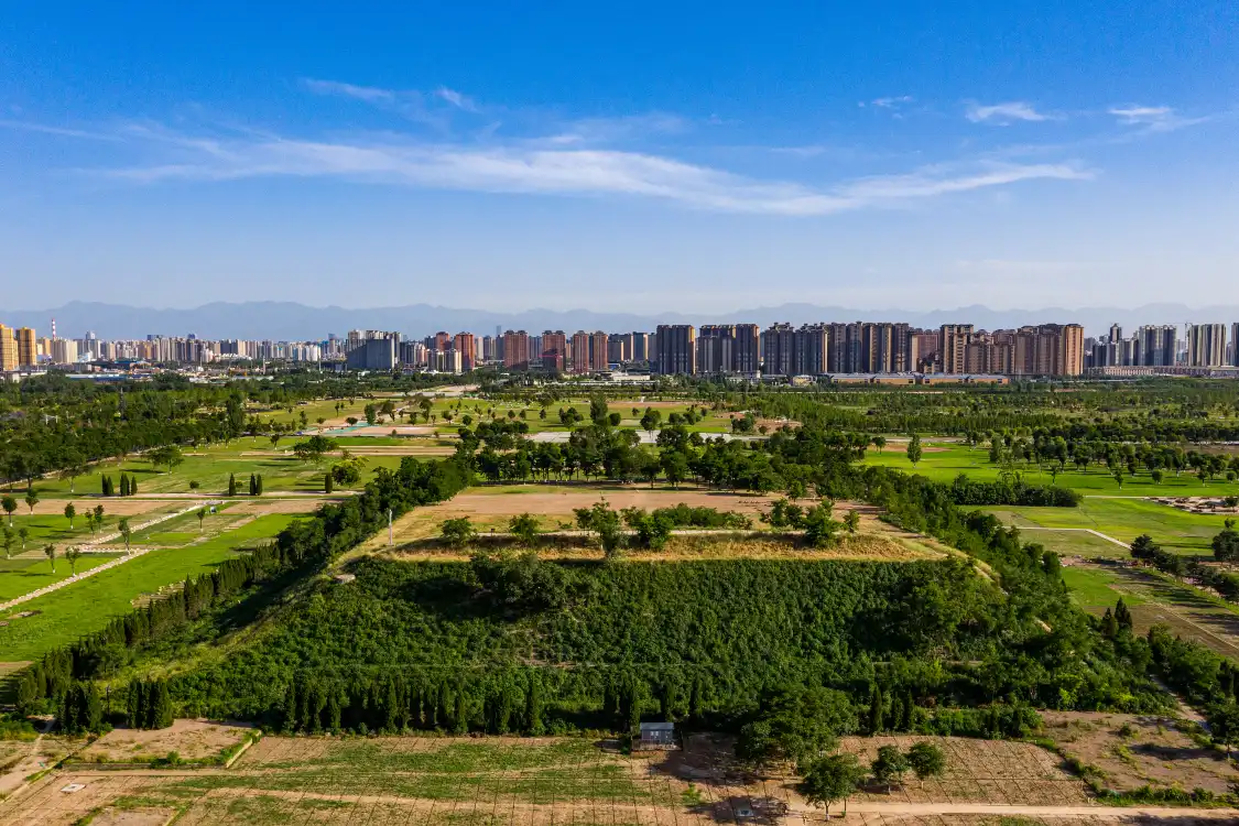 Hotels near The Site of Front Hall, the Site of Weiyang Palace in Chang'an City of Western Han Dynasty
