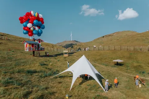 Yangtianhu Grassland