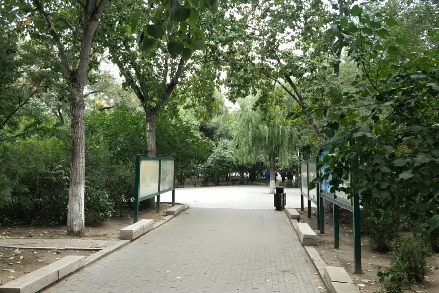 Qingbin Park
