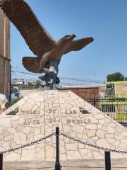 MUSAVE Museo de Las Aves de México Saltillo