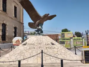 Museo de las Aves