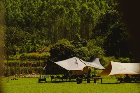 Camping in Longmen