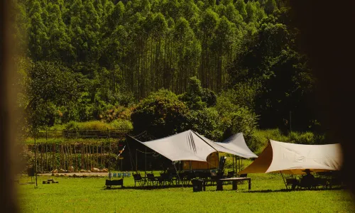 Camping in Longmen