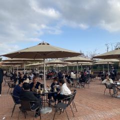 一尺花园(红窑店) User Photo