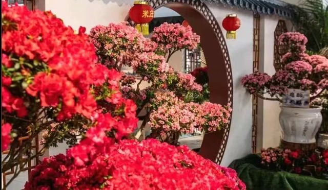 jin shi tan jing pin du juan hua wen hua yi shu zhan | Dalian