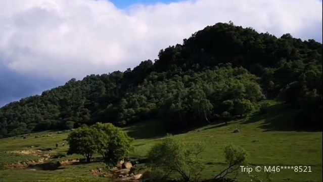 Shaanxi Huanglong Game Land