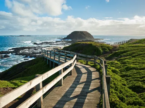 ลาสปาลมัส