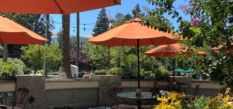 Vines Bistro