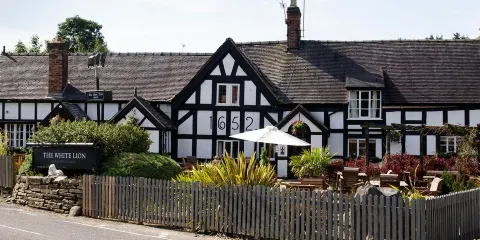 The White Lion