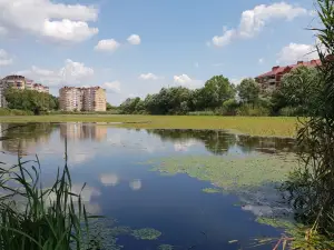 Gorodskoy Park