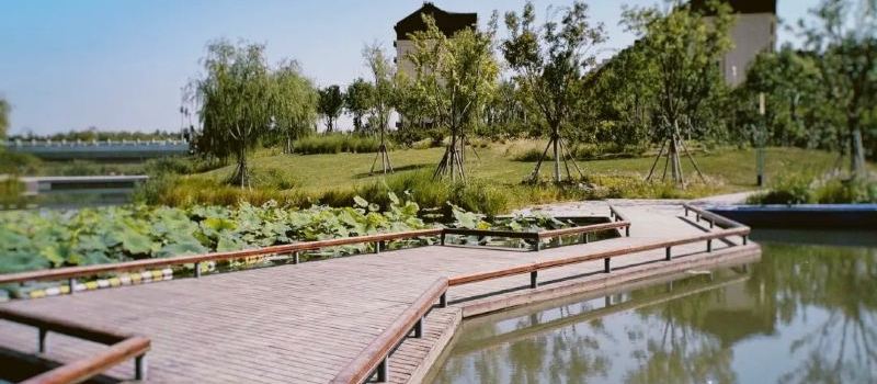 Qingtian Town