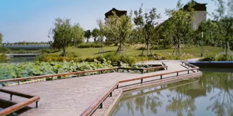 青甜小鎮鐵鍋燉大鵝（北城店）