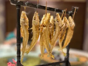 壯鄉樓民俗文化苑
