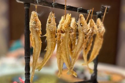 壯鄉樓民俗文化苑