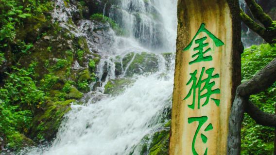 Shennong Peak Scenic Area - Jinhou Ridge