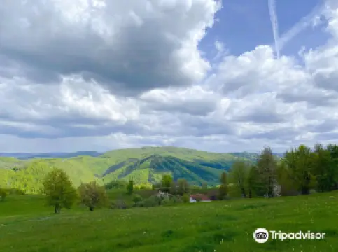 Apuseni Natural Park