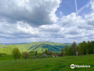 Apuseni Natural Park
