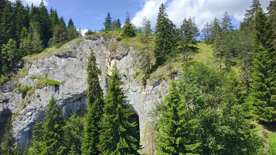 The Wonderful Bridges