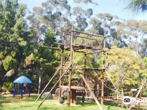 Monkey Town Venue