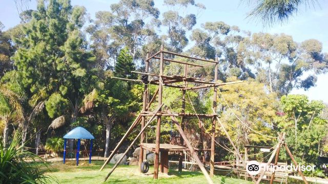 Monkey Town Venue (no animal viewing available since April 2024)