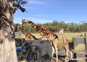 Mogo Wildlife Park
