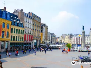 Furet du Nord