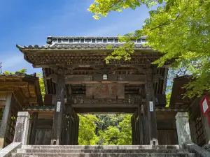 伊豆熱門賞花踏青景點