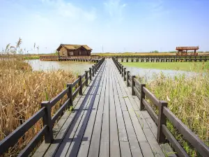 Hangzhou Bay National Wetland Park