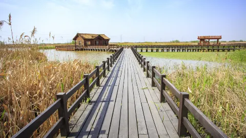 杭州灣國家濕地公園 attraction in 寧波