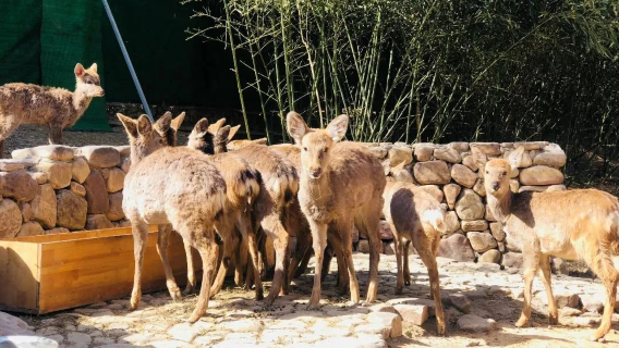 Luoyang Hongshan Happy Valley Happy Ranch