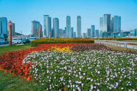 Xinghai Square