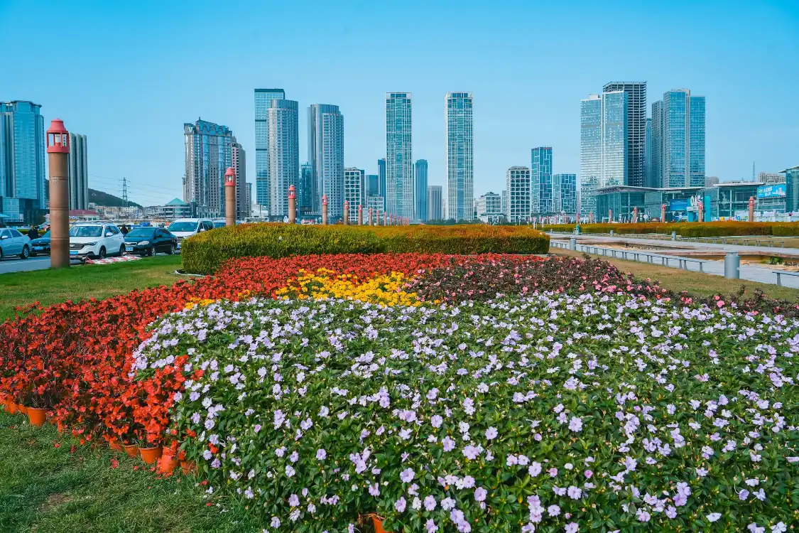 Hotels near Xinghai Square