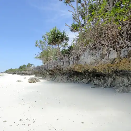 Popular Best Things to Do in Zanzibar Island
